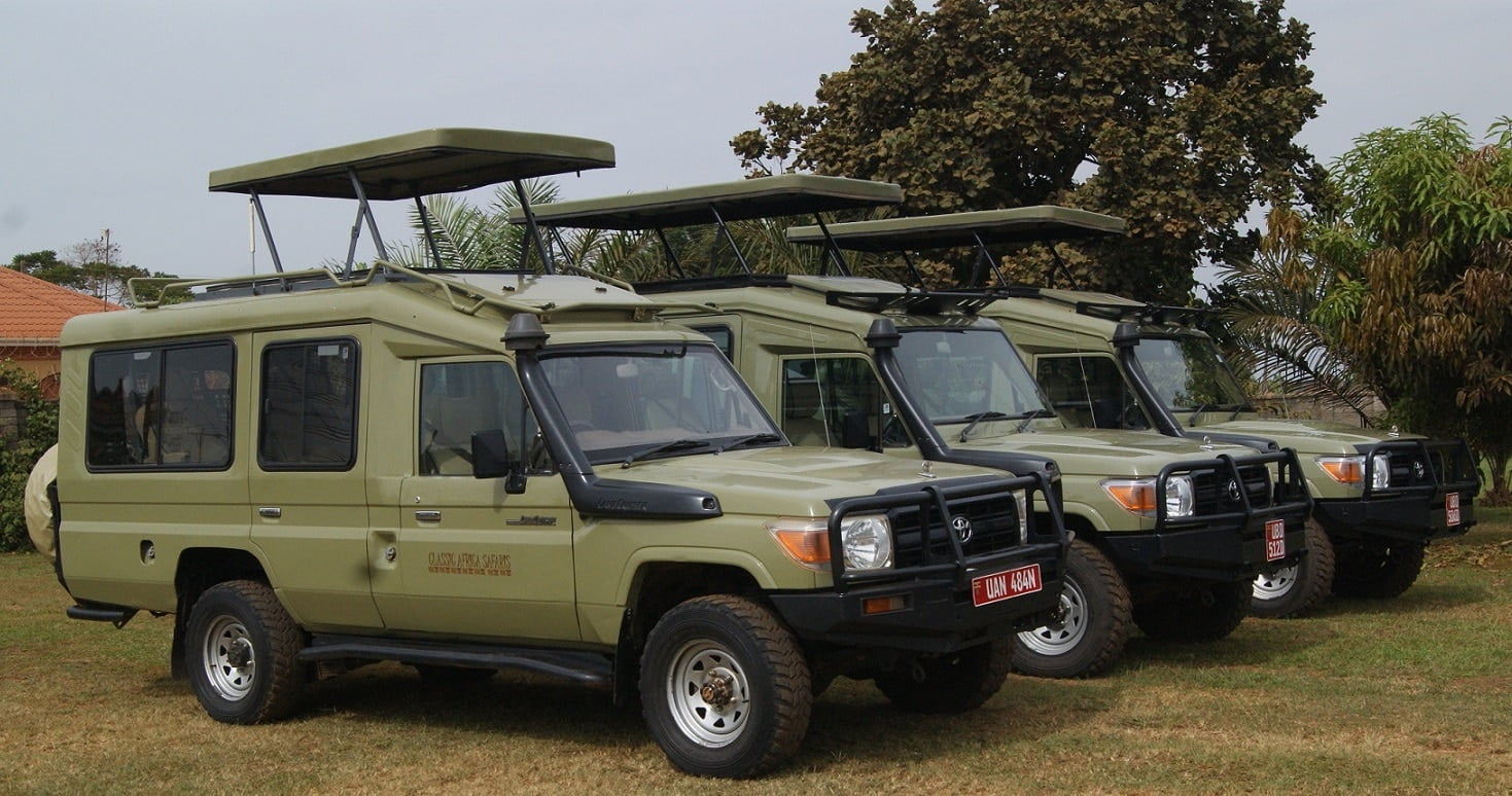 Safari